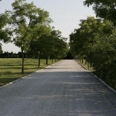 Relais Agrituristico Ormesani Βίλα Σαν Λιμπεράλε Εξωτερικό φωτογραφία